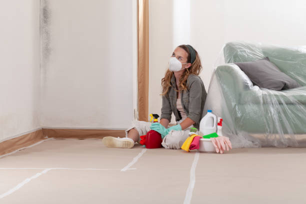 Reliable Black Mold Removal contractor in Williamston, NC by WQB Mold Removal